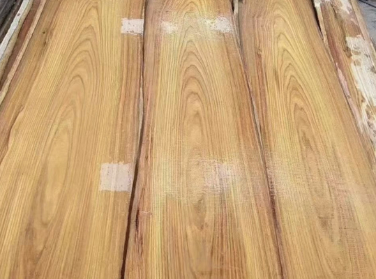 comprar Veneer de madera natural de Kosso/Ambilla online manufacture