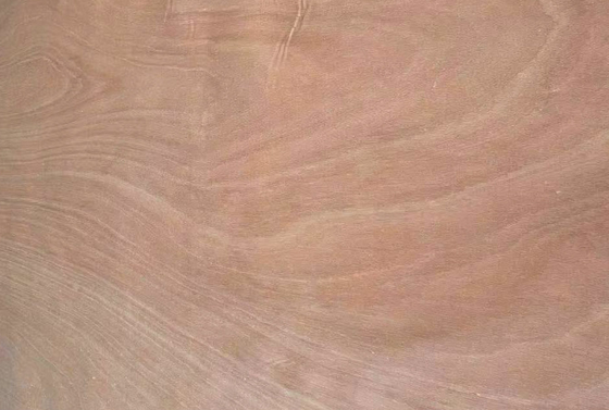 0.1-0.5 mm Veneer de madera de Okoume Veneer rotativo pelado 1270 mm * 2500 mm