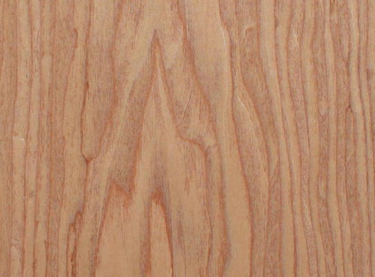 Hojas de carilla de madera de cereza resistentes a la humedad 64 cm de ancho